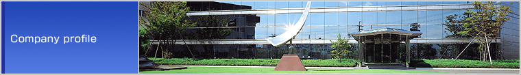 Company profile