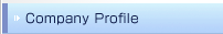 Company Profile