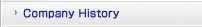 Company History