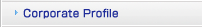Corporate Profile